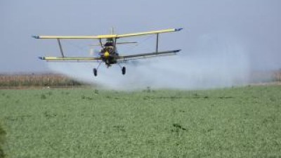 La Justicia suspendió las fumigaciones con agrotóxicos en Coronel Suárez