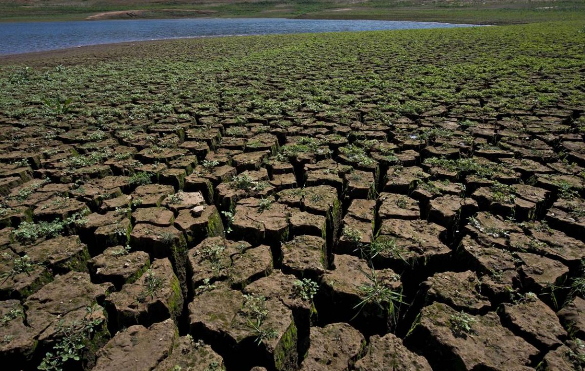 San Pablo enfrenta la peor crísis hídrica de su historia