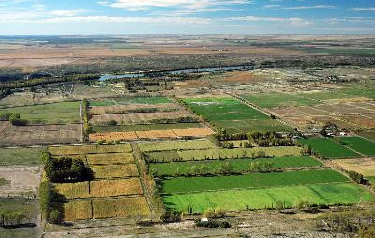 El Gobierno de Río Negro sigue capacitando a Municipios en desarrollo urbano y manejo de suelo
