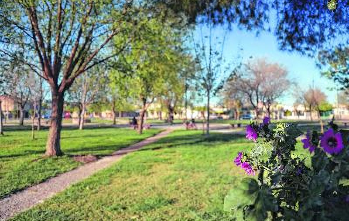 Neuquén tendrá plazas aromáticas que sirven de guías para personas ciegas