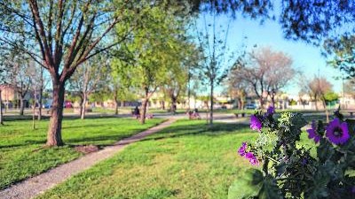 Neuquén tendrá plazas aromáticas que sirven de guías para personas ciegas