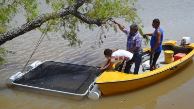 Se inaugura en Entre Ríos una nueva forma de criar peces