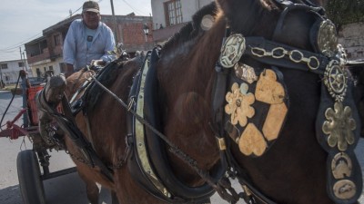 Carreros y cartoneros de Salta se sindicalizan en defensa del trabajo