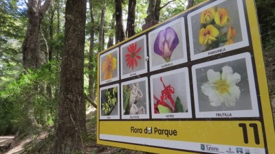 La Municipalidad de Bariloche realiza trabajos para mejorar el Parque Llao Llao