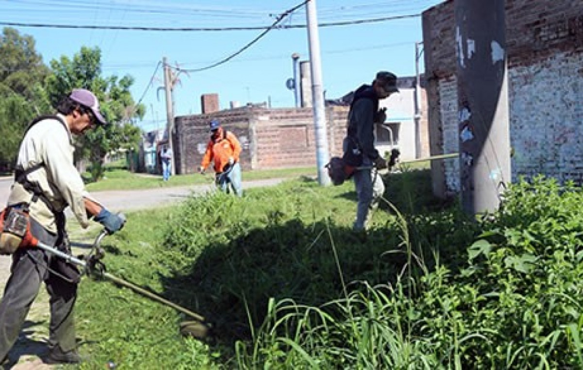 En San Lorenzo, todo el personal pasó a planta