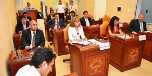 Ediles del oficialismo y la oposición dieron su punto de vista respecto de cómo ven ellos el funcionamiento del transporte público