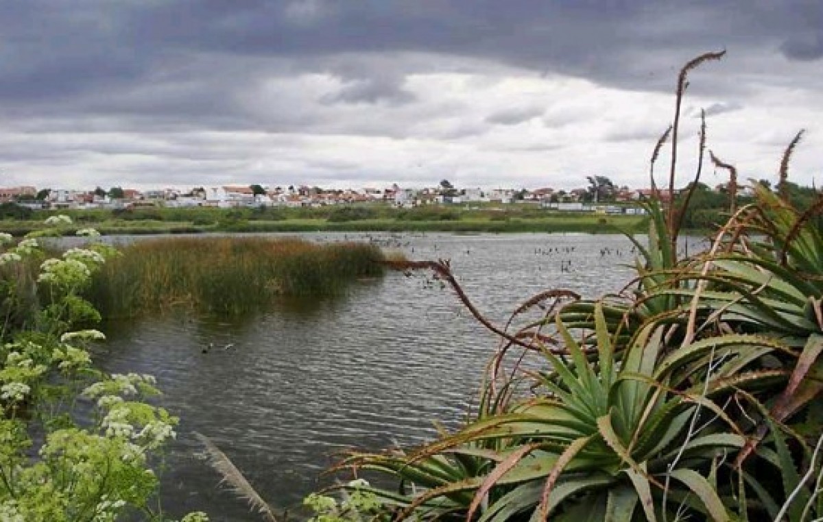 Declararon como Reserva Natural a la Laguna del Puerto de Mar del Plata