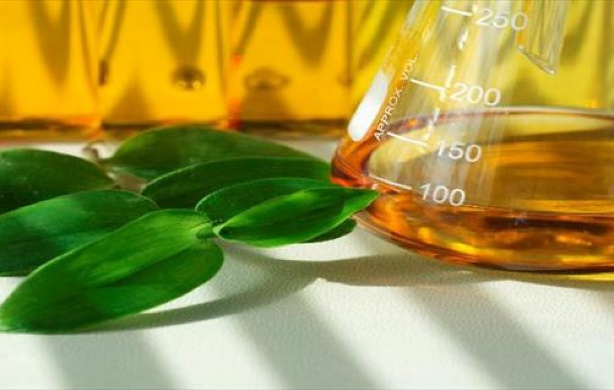 Combustibles: Estados Unidos autorizó la importación de biodiesel argentino para uso automotor