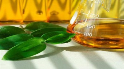 Combustibles: Estados Unidos autorizó la importación de biodiesel argentino para uso automotor