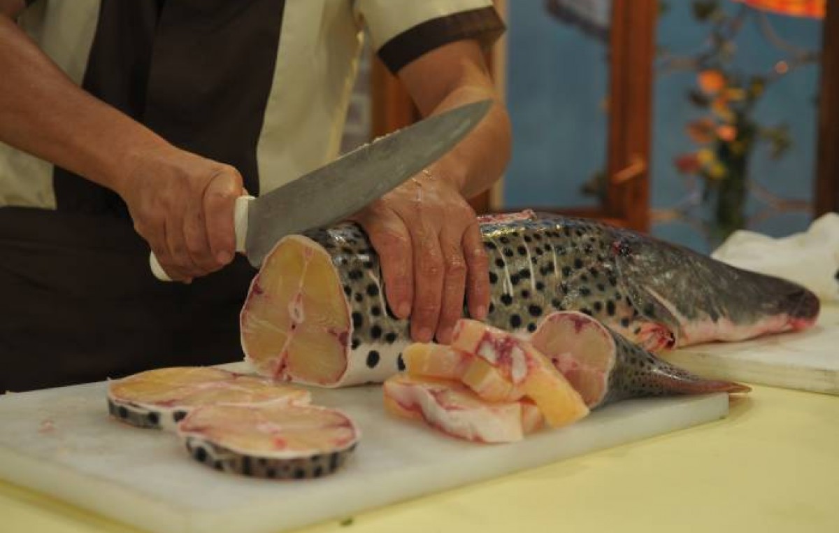 Nación entregará ocho millones de pesos para la construcción de comedores de pescado en Entre Ríos