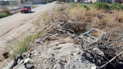 La mitad de los neuquinos no limpian su baldío