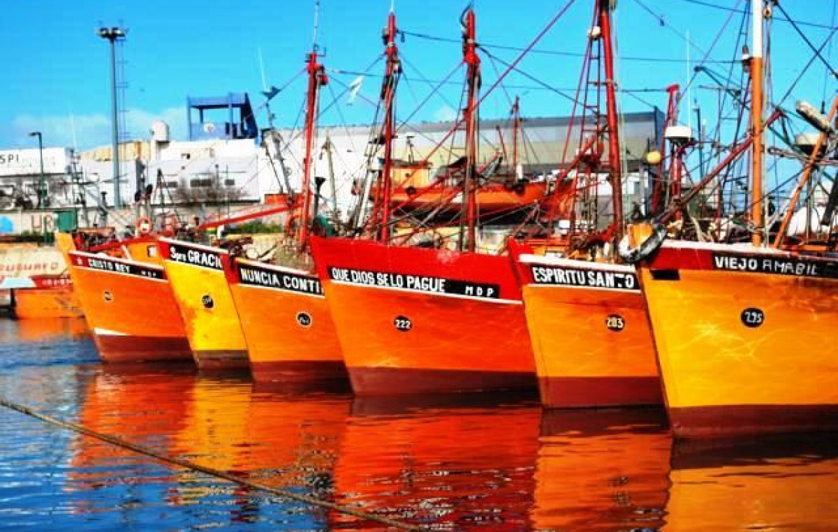 Avanza el proyecto ejecutivo del Mercado Concentrador Pesquero en Mar del Plata