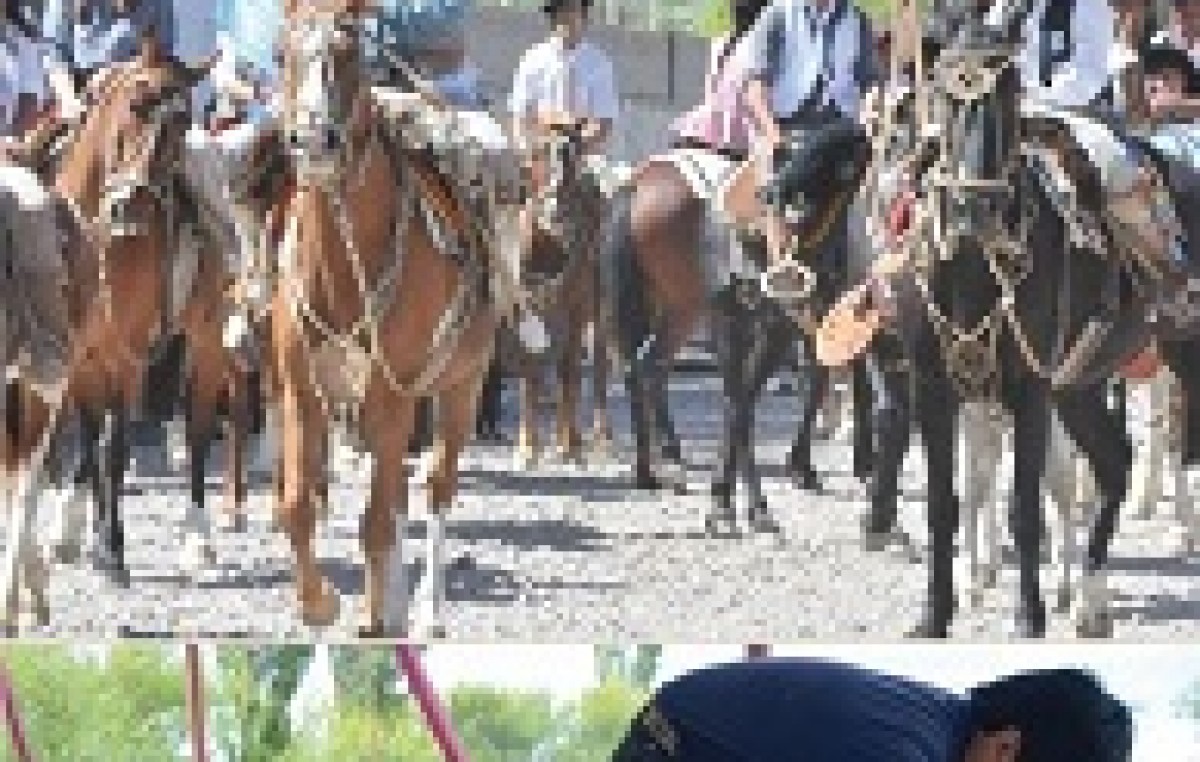 Fiesta Nacional de la Esquila del 15 al 18 de enero en Río Mayo