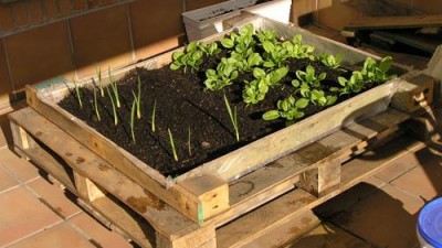 En Rosario canjean papeles en desuso por productos ecológicos