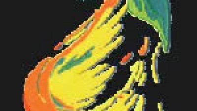 Fiesta Nacional de la Pera, Allen, del 23 al 25 de enero