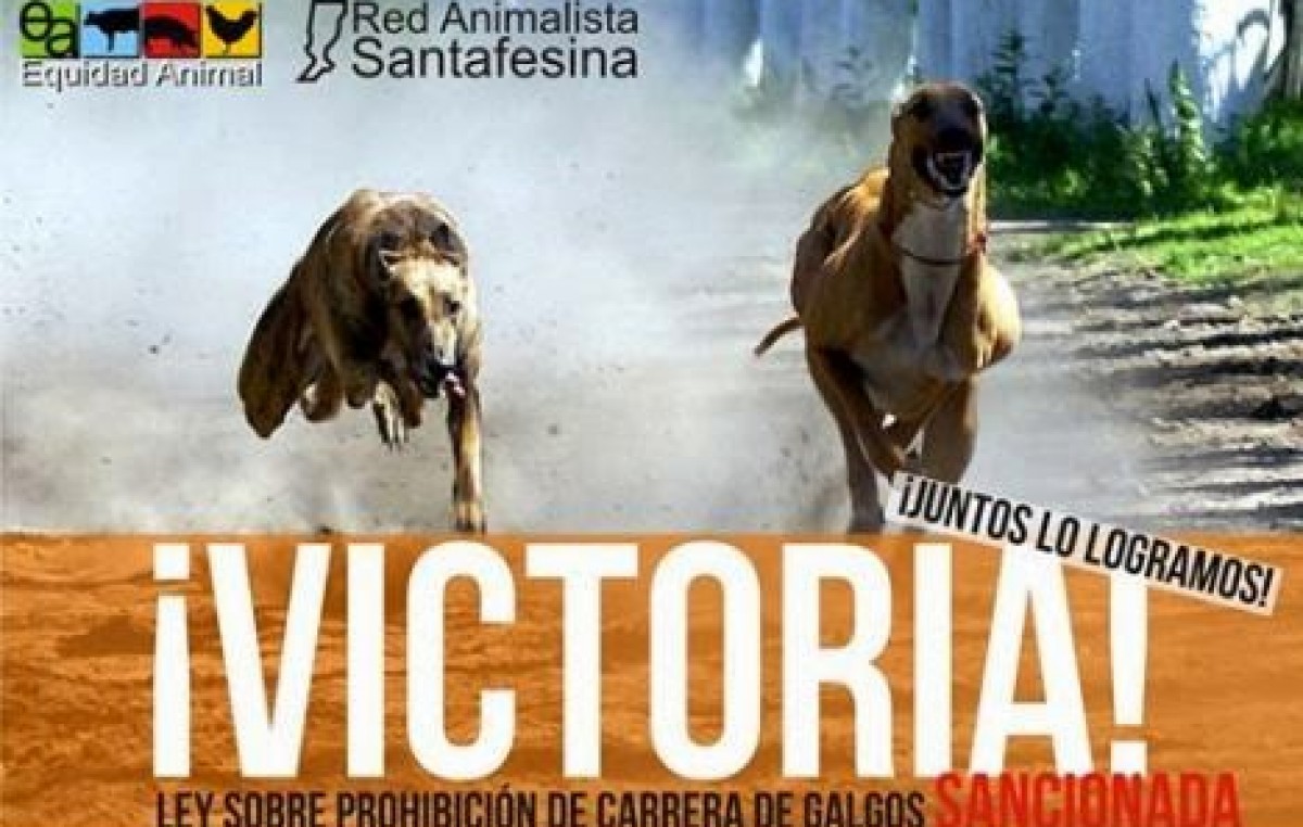 Ya rige en la provincia de Santa Fe la ley que prohíbe las carreras de perros