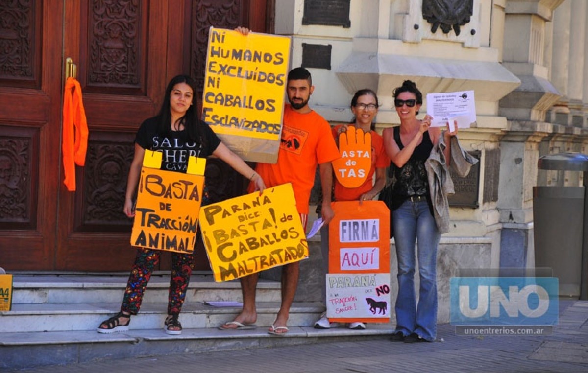 En Paraná piden que se erradique la tracción a sangre