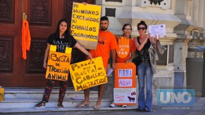 En Paraná piden que se erradique la tracción a sangre