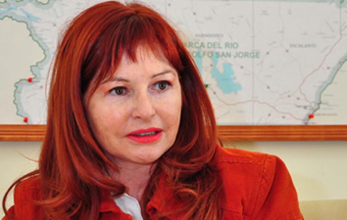 Afirman que Comodoro multiplicó sus ingresos con la Ley de Hidrocarburos