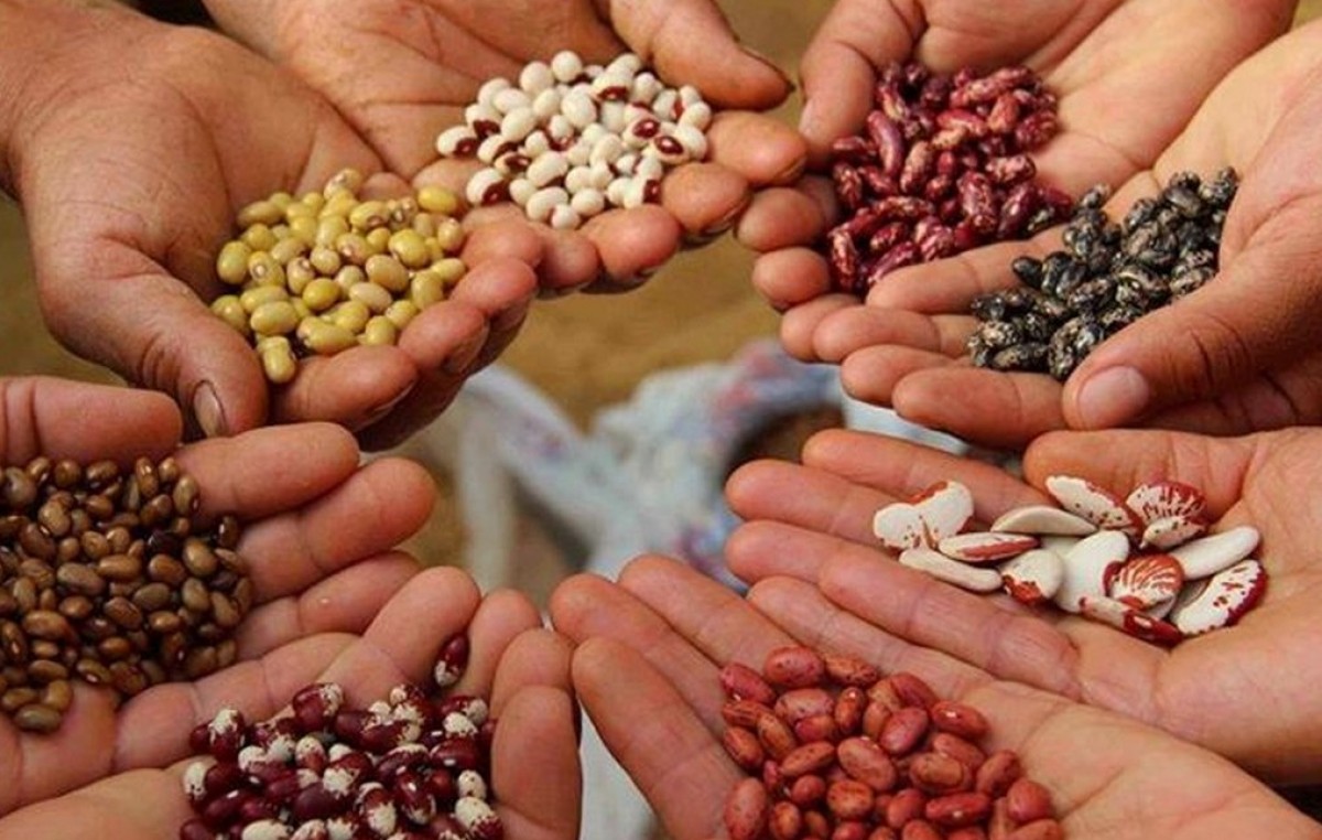 La agricultura familiar, en el inicio de las actividades gubernamentales de 2015