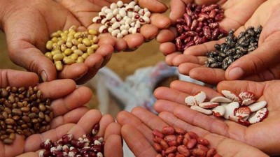 La agricultura familiar, en el inicio de las actividades gubernamentales de 2015