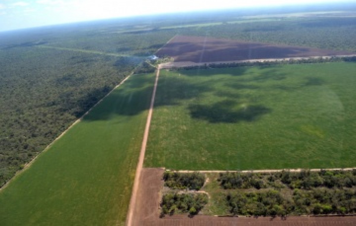 Chaco: Intensa actividad para combatir los desmontes ilegales