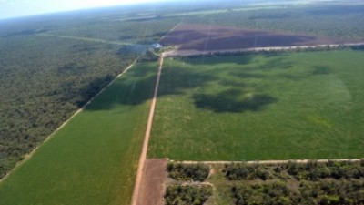 Chaco: Intensa actividad para combatir los desmontes ilegales