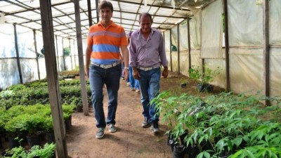 El vivero municipal de Resistencia cuenta con más de 20 mil ejemplares