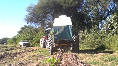 Jujuy: Reactivan el potencial forestal de la Esperanza