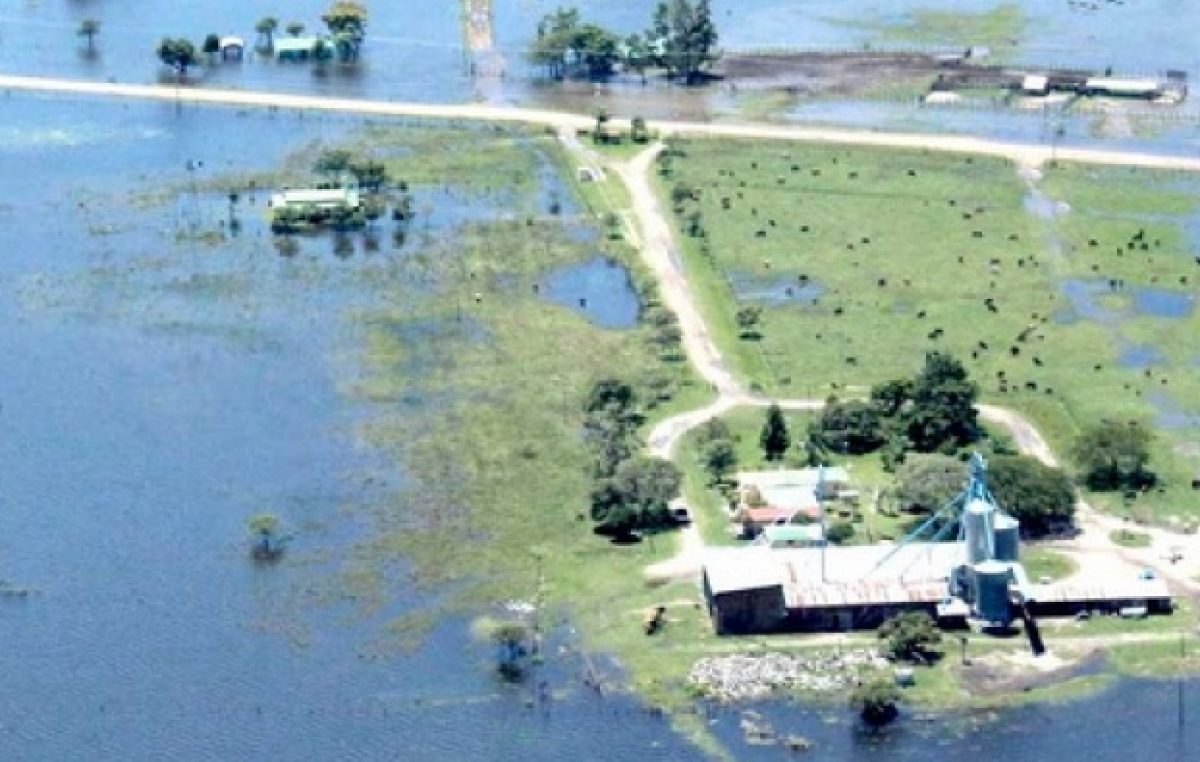 Garantizan asistencia a productores arroceros de Corrientes