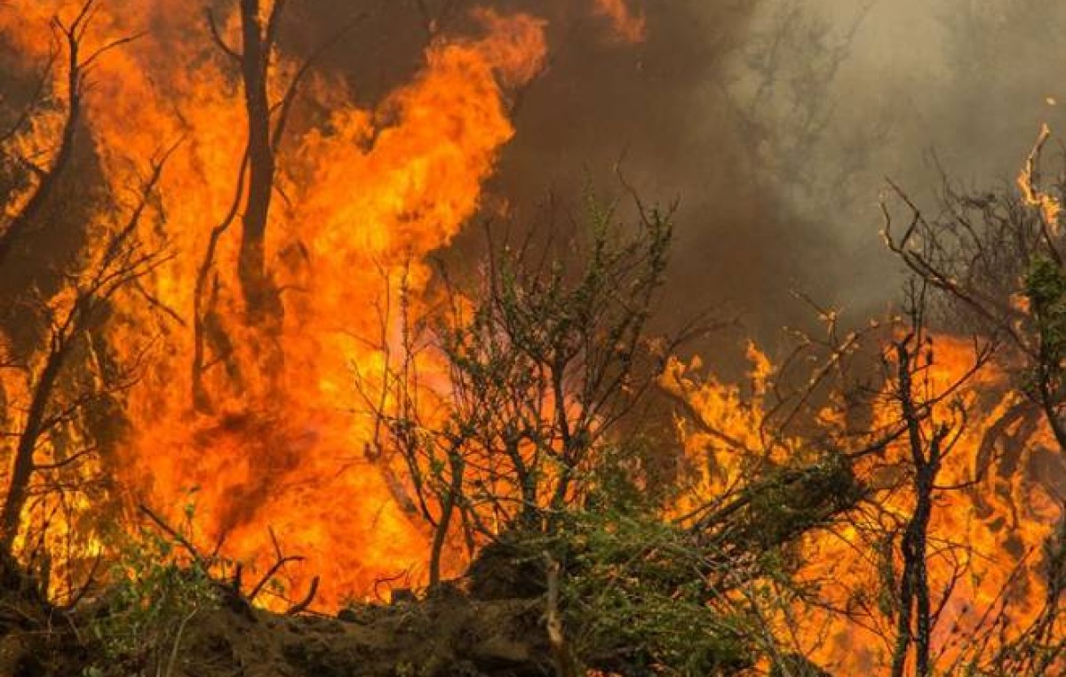 Fuego descontrolado en Cholila: evacúan casas y también a los brigadistas