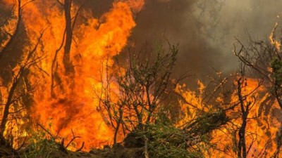 Fuego descontrolado en Cholila: evacúan casas y también a los brigadistas