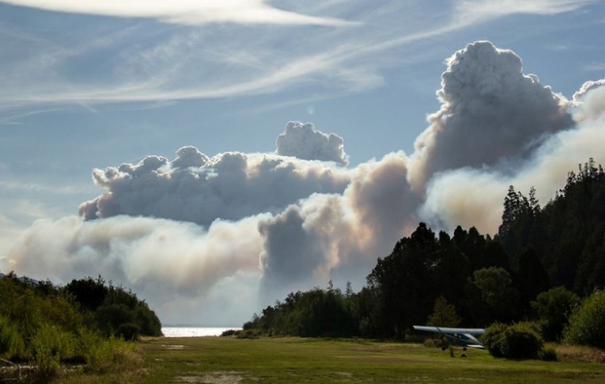 Más de 4500 hectáreas de bosque nativo arrasadas por incendio en Cholila