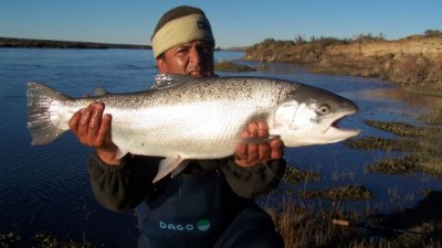Piedra Buena fue declarada Capital Nacional de la trucha Steelhead