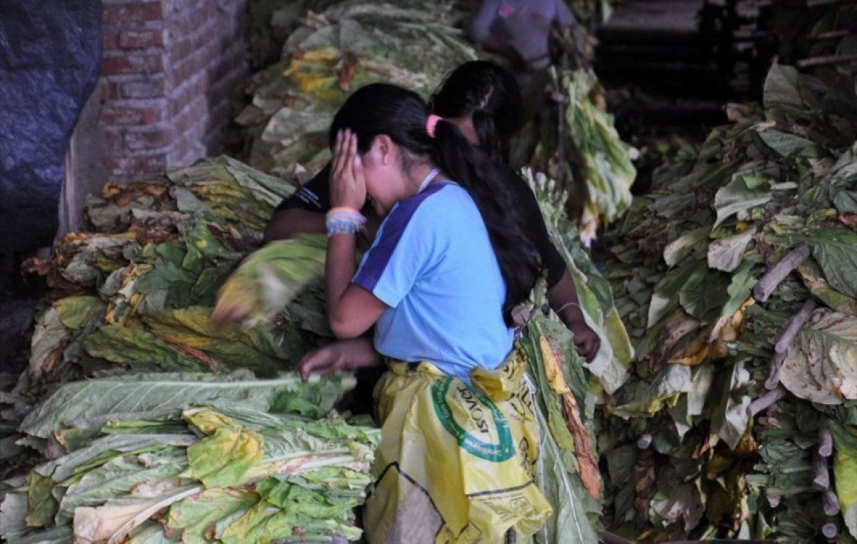 La trata laboral sumó 550 víctimas en Salta en los últimos meses