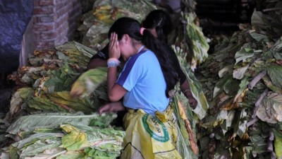 La trata laboral sumó 550 víctimas en Salta en los últimos meses