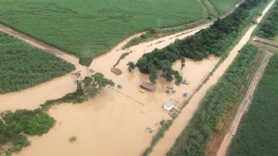 Orán: El río Pescado desbordó y más de 20 familias fueron evacuadas