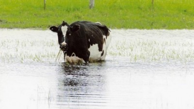 Córdoba: Por la inundación corren serio riesgo de cerrar 20 tambos