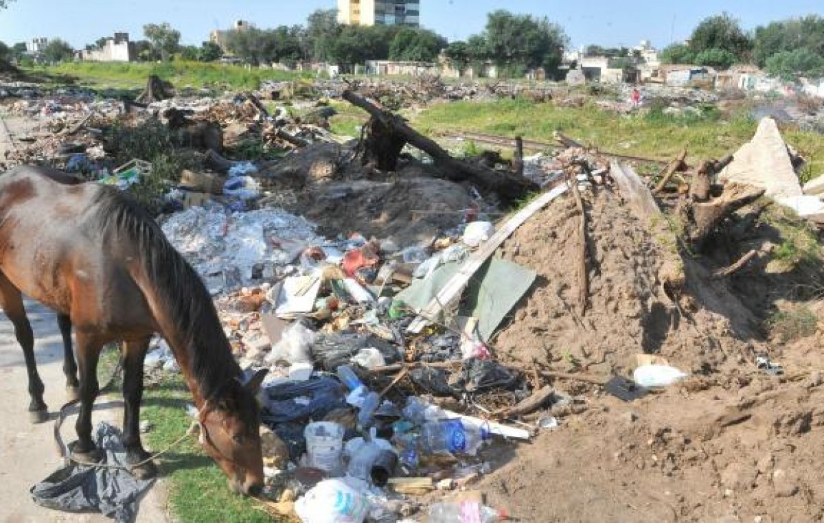 Relevan 104 basurales en Córdoba y denuncian inacción