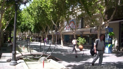 En San Juan regarán los árboles con sistema israel