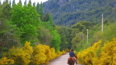 Bariloche: asfaltarán el ingreso a Colonia Suiza por 9 millones