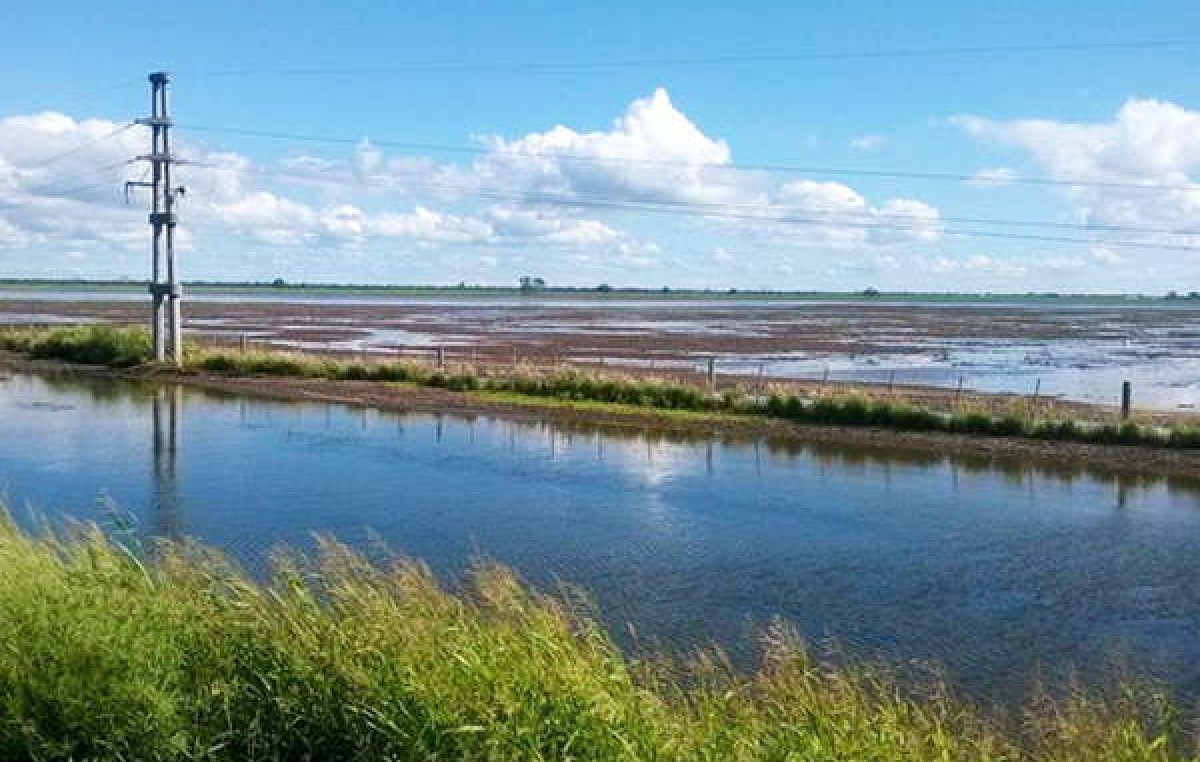 Bandera quedó rodeada de agua y hay más de 100 familias aisladas en parajes cercanos