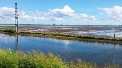 Bandera quedó rodeada de agua y hay más de 100 familias aisladas en parajes cercanos