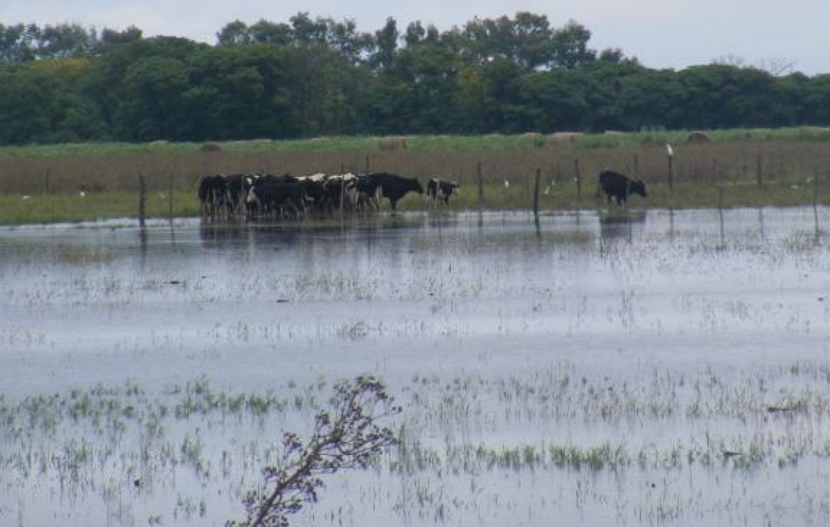 Hay al menos 500 mil hectáreas bajo el agua en Córdoba