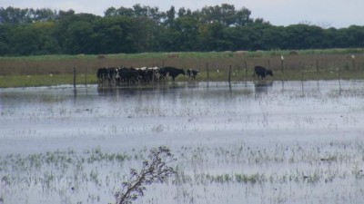 Hay al menos 500 mil hectáreas bajo el agua en Córdoba