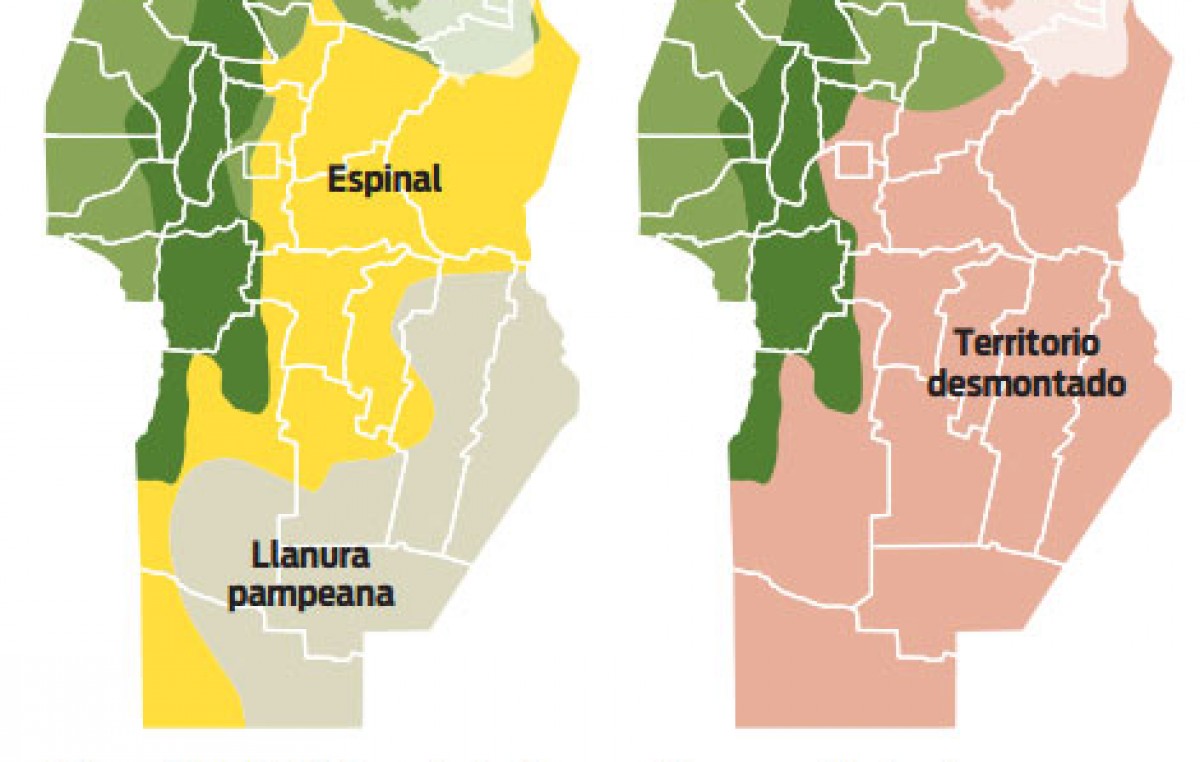Reforestar Córdoba: un debate que el diluvio reactualiza
