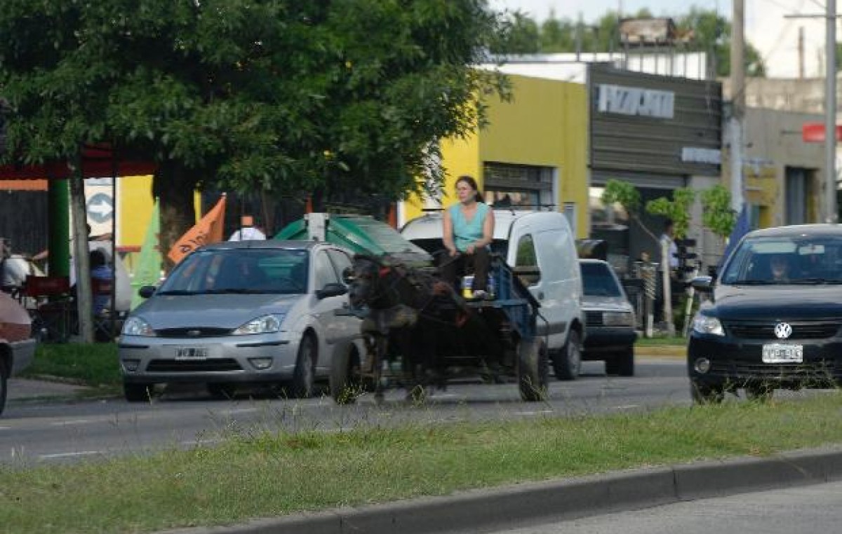 Más de un centenar de carreros rosarinos buscan regularizar su actividad