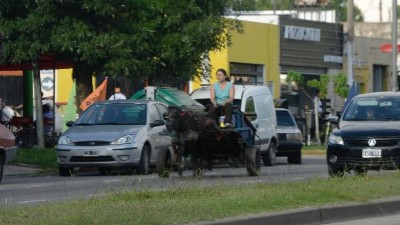 Más de un centenar de carreros rosarinos buscan regularizar su actividad