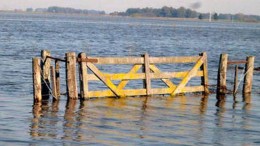 Inundaciones dejaron sin trabajo a mil empleados rurales cordobeses