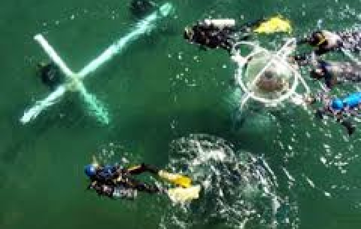 Vía Crucis Submarino, 3 de abril en Puerto Madryn